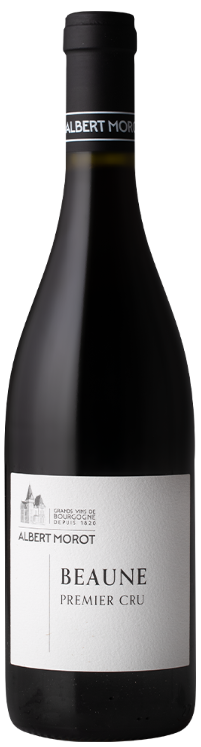 Albert Morot Beaune Premier Cru Les Toussaints 2022 | Arrowine